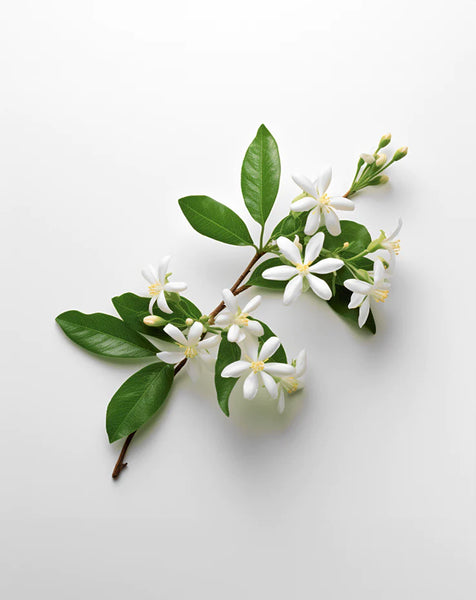 Floral